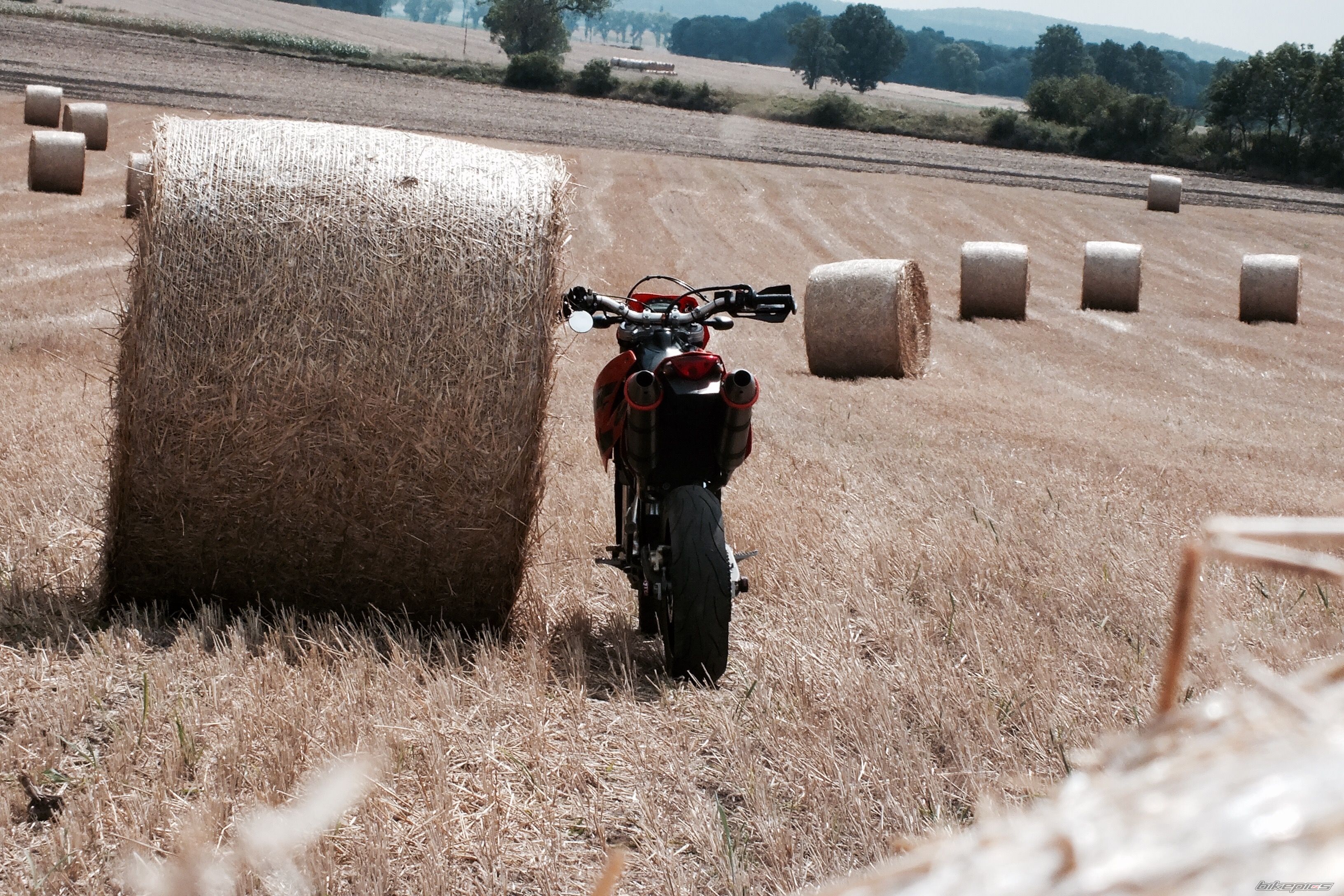 Photo 2791578