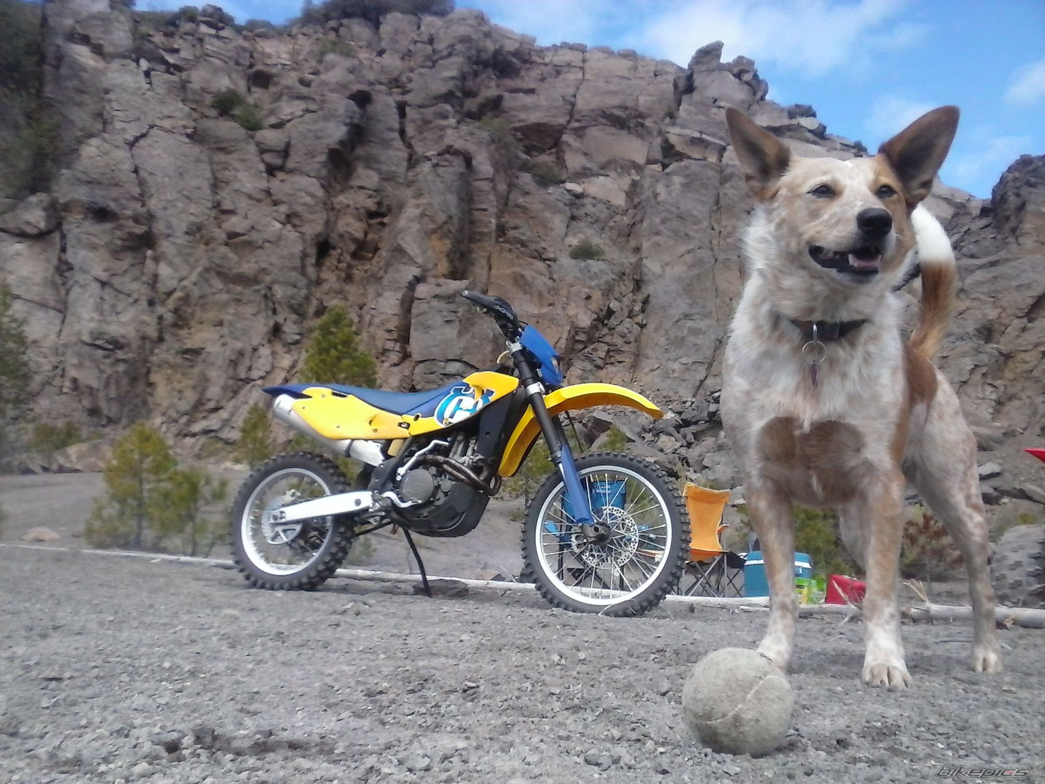 Bike Photo 2791794