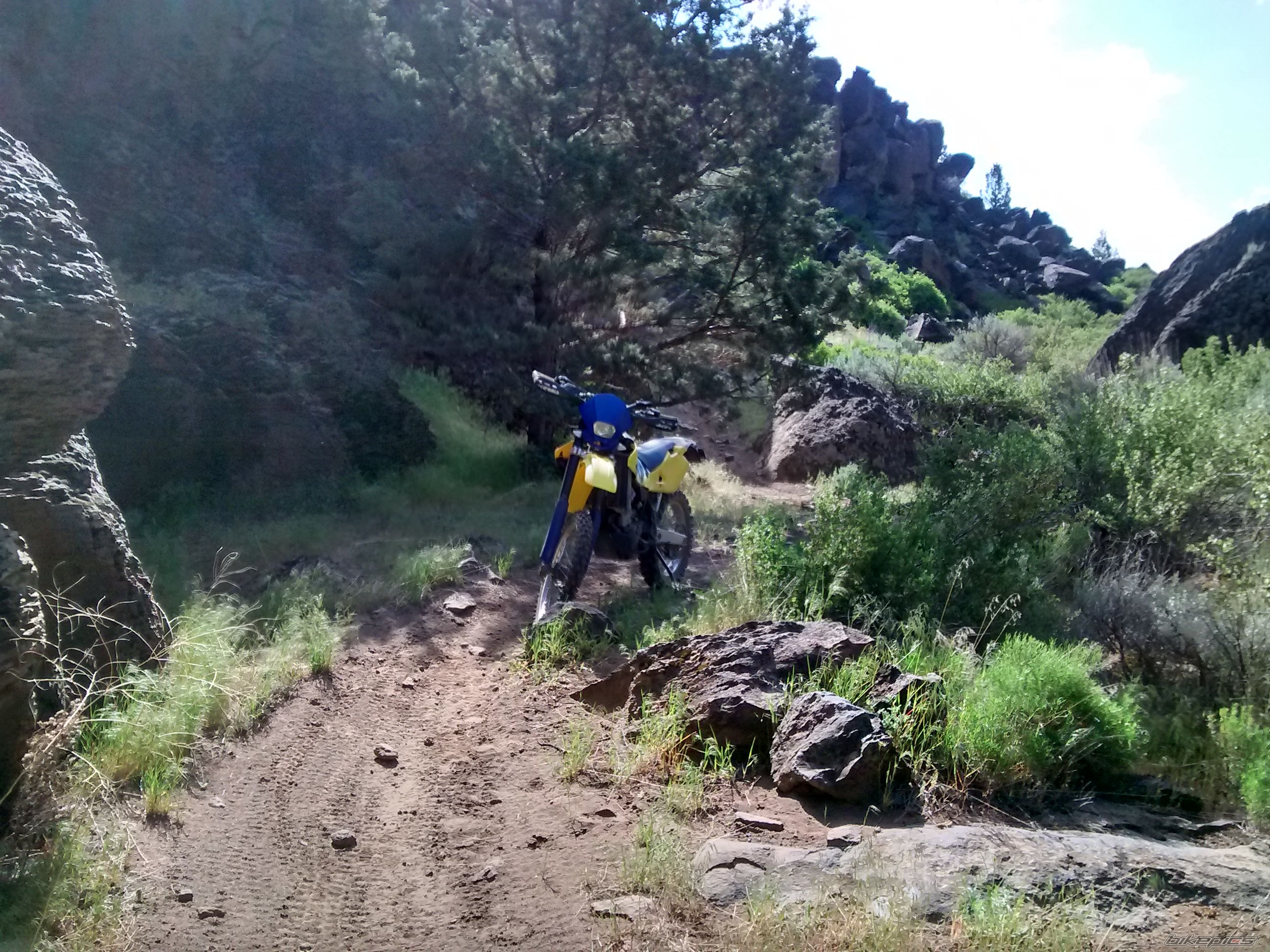 Bike Photo 2791798