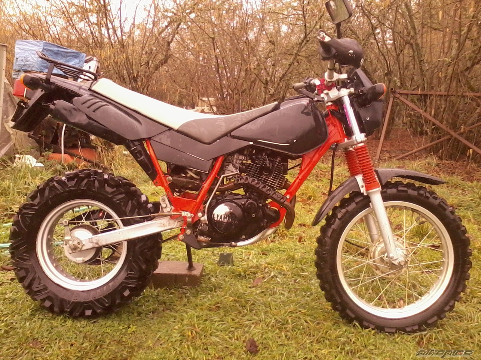 Photo 2791801