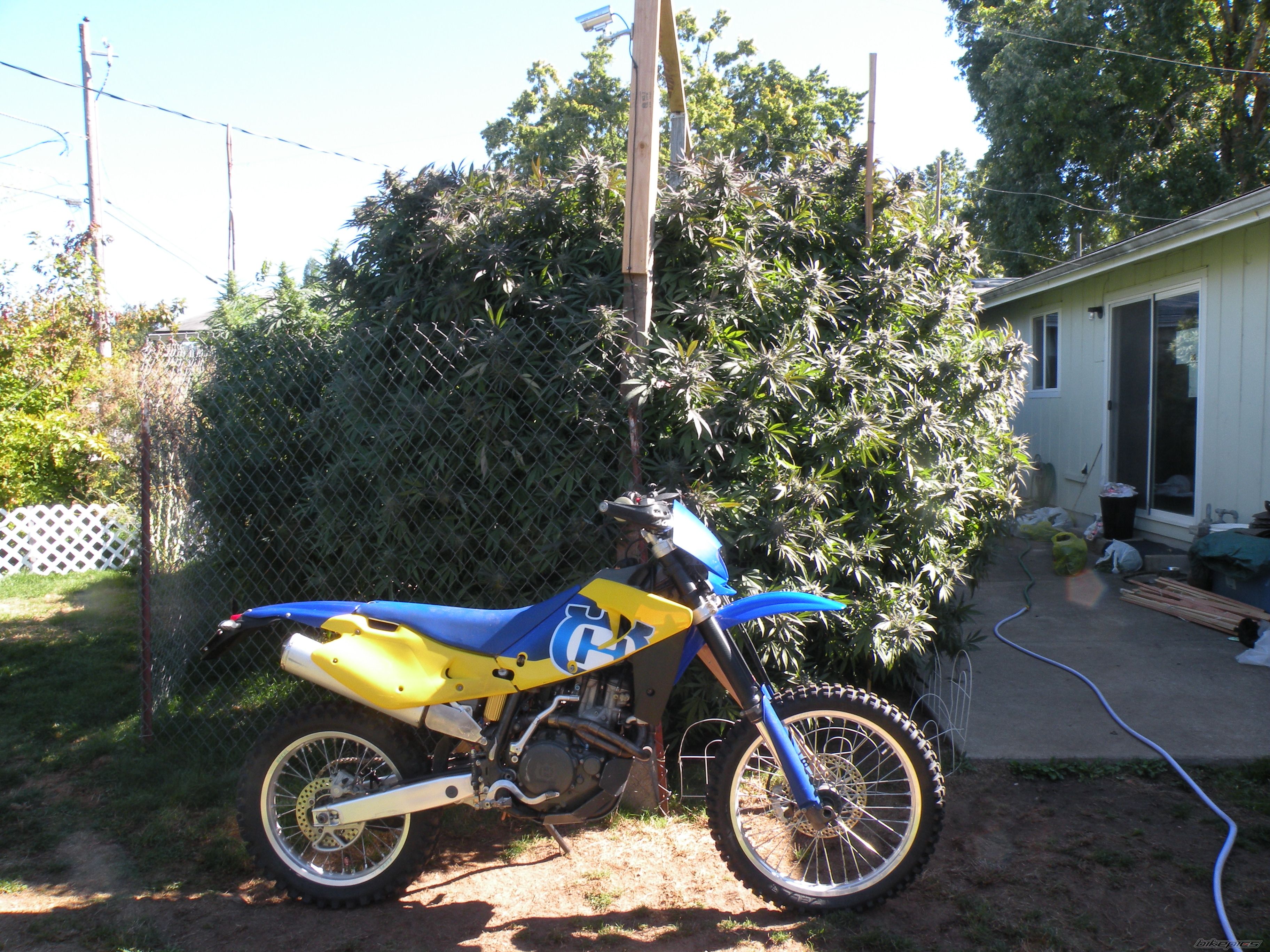 Bike Photo 2791816