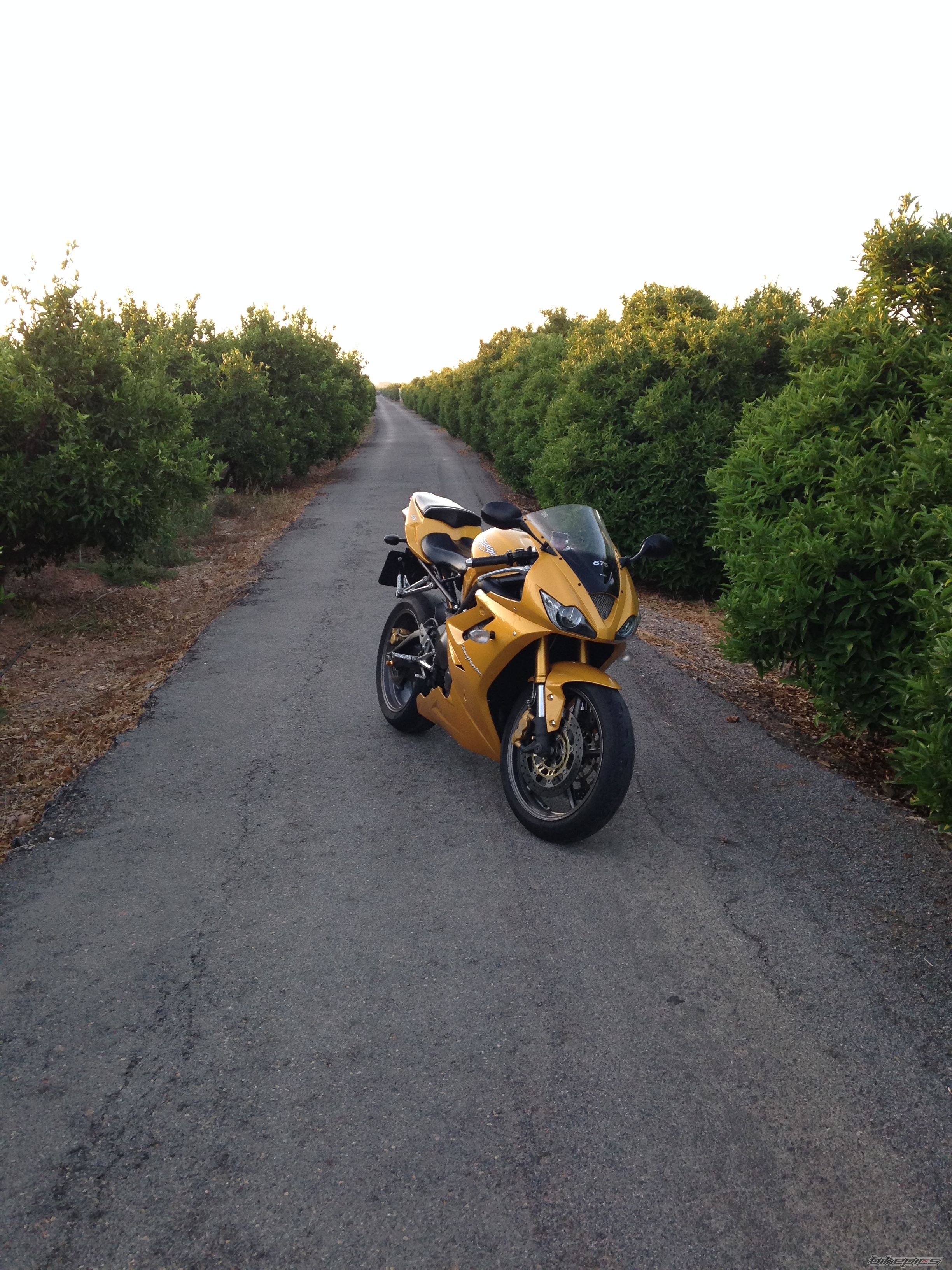 Photo 2791850