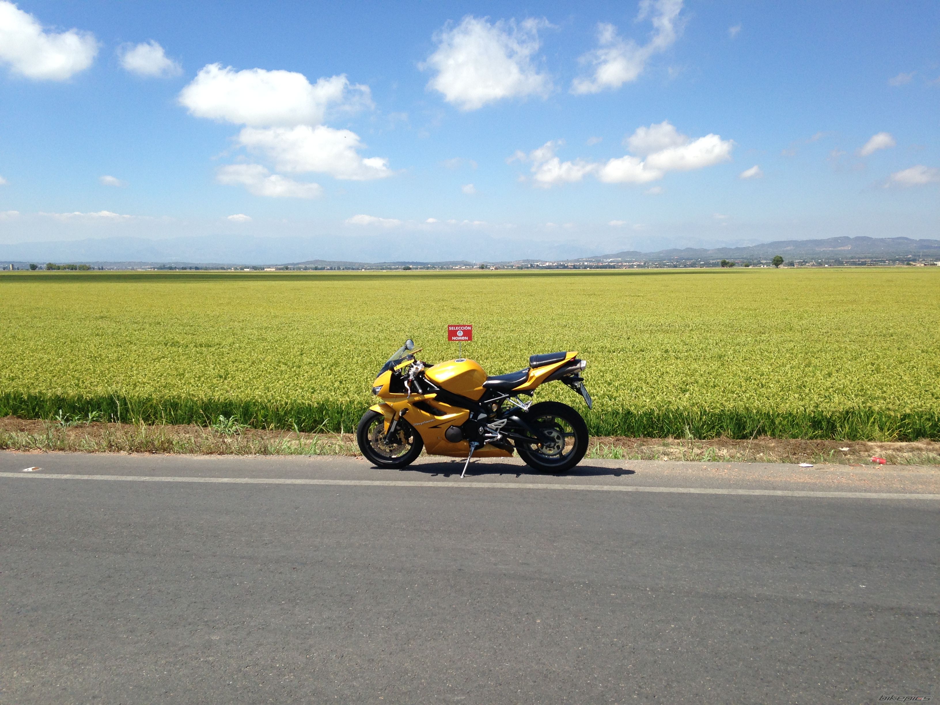 Photo 2791852