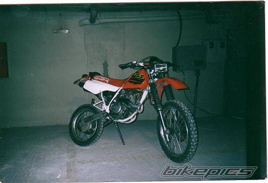 Photo 279195