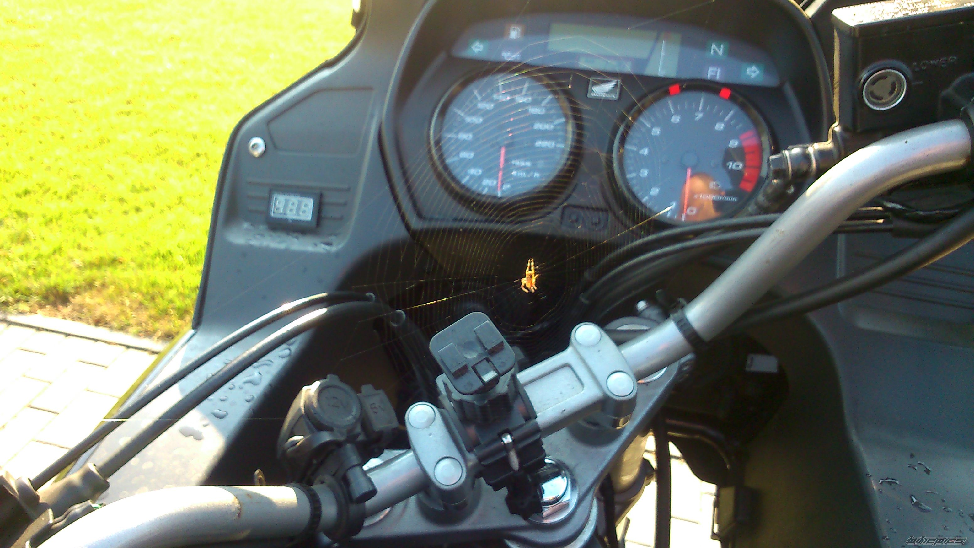 Photo 2792093