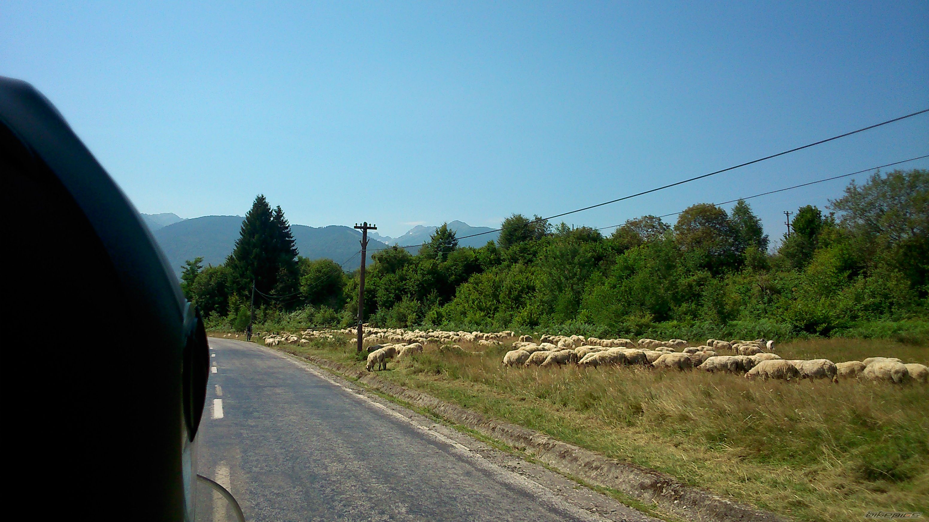 Photo 2792095