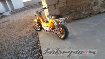 Photo 2792315