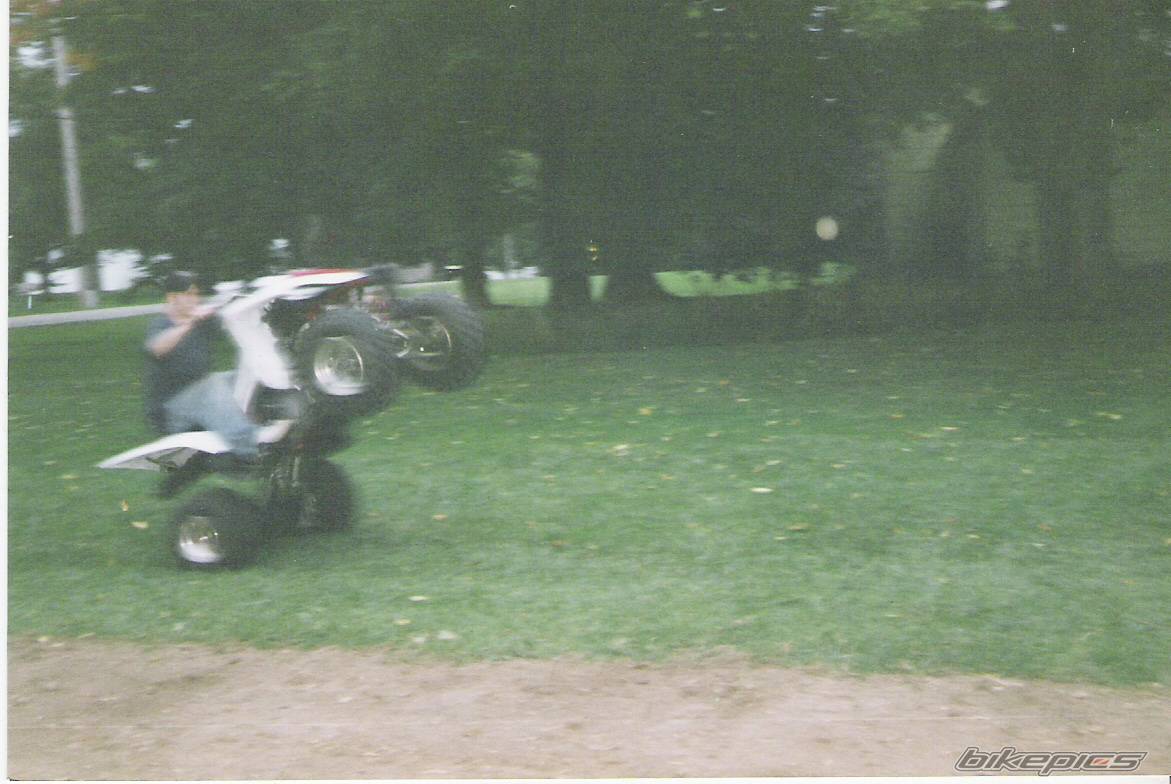 Bike Photo 279237