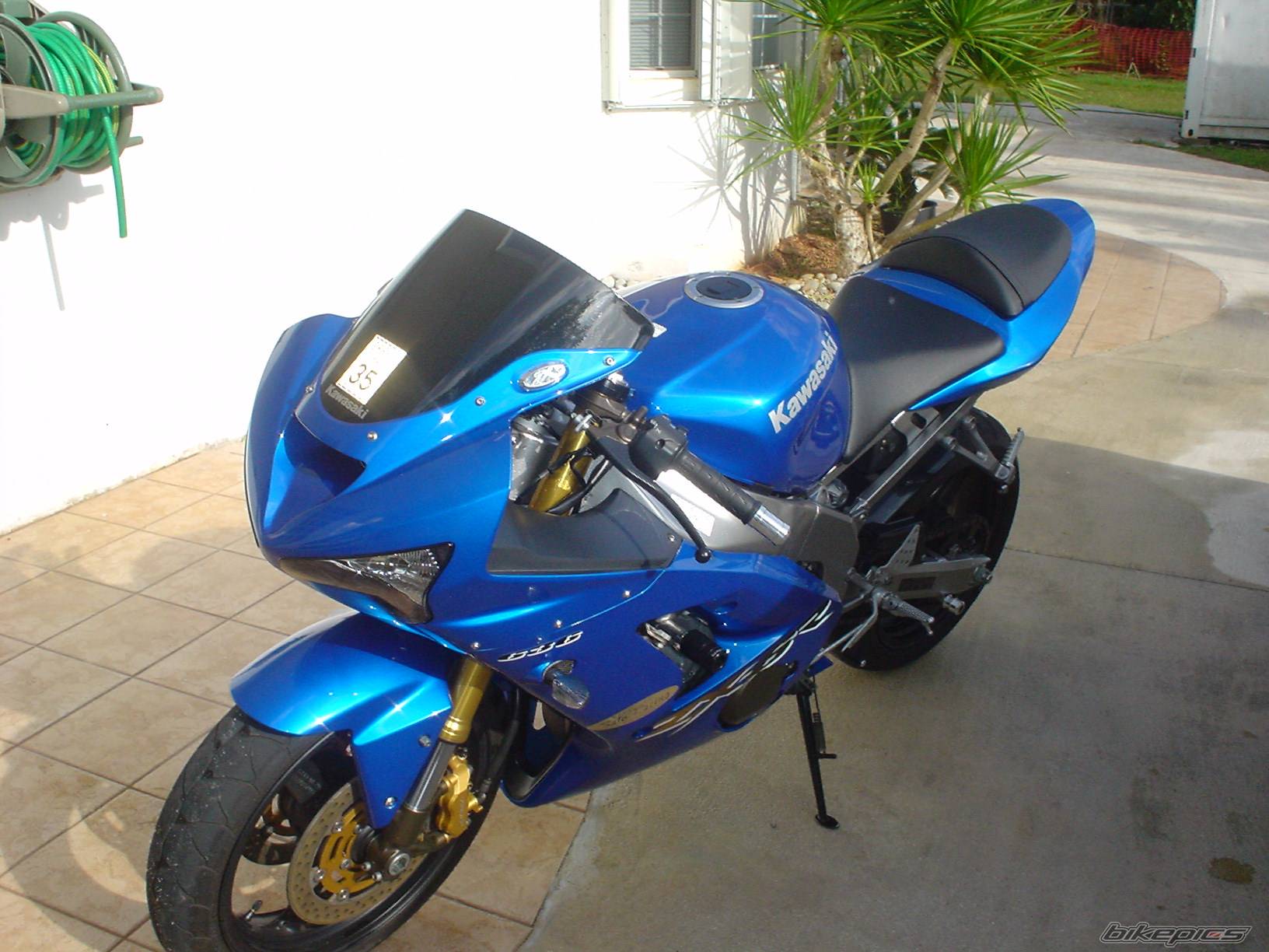 Photo 279243