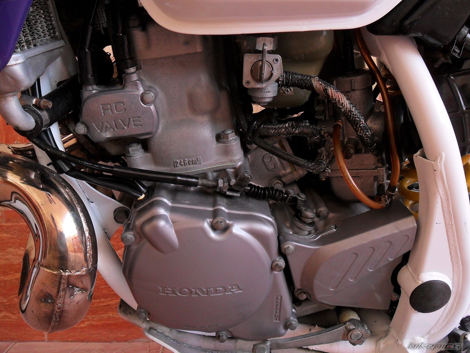 Photo 2792442