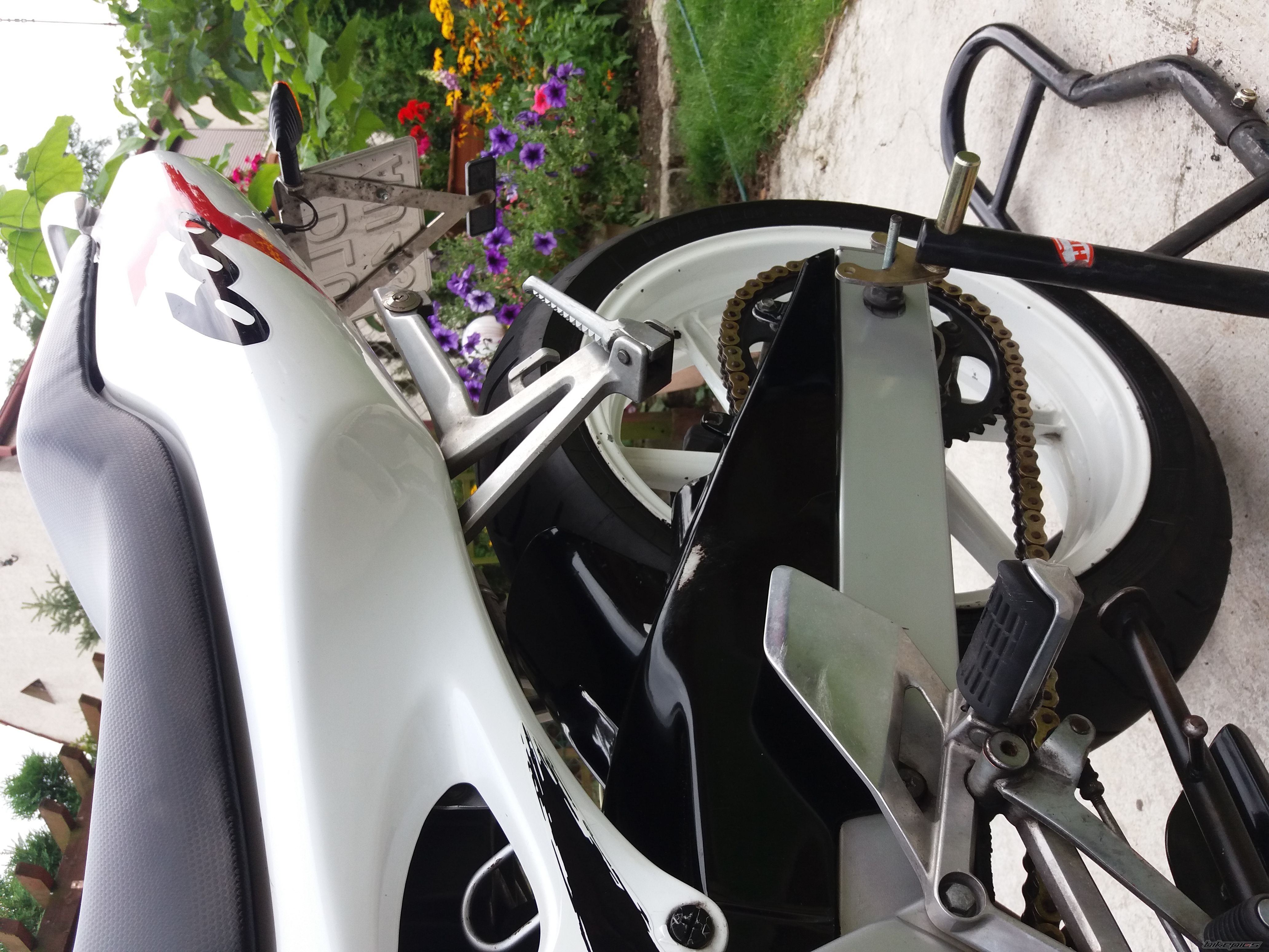 Photo 2792490