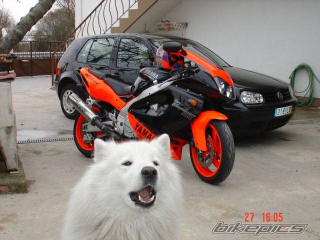 Photo 279251
