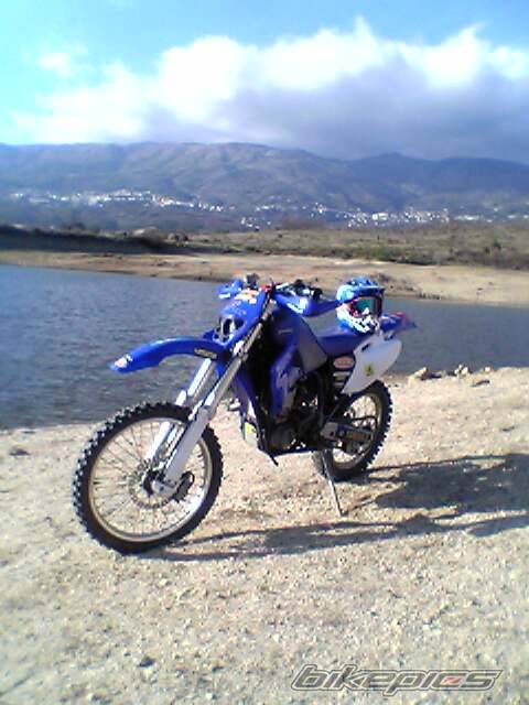 Photo 279252