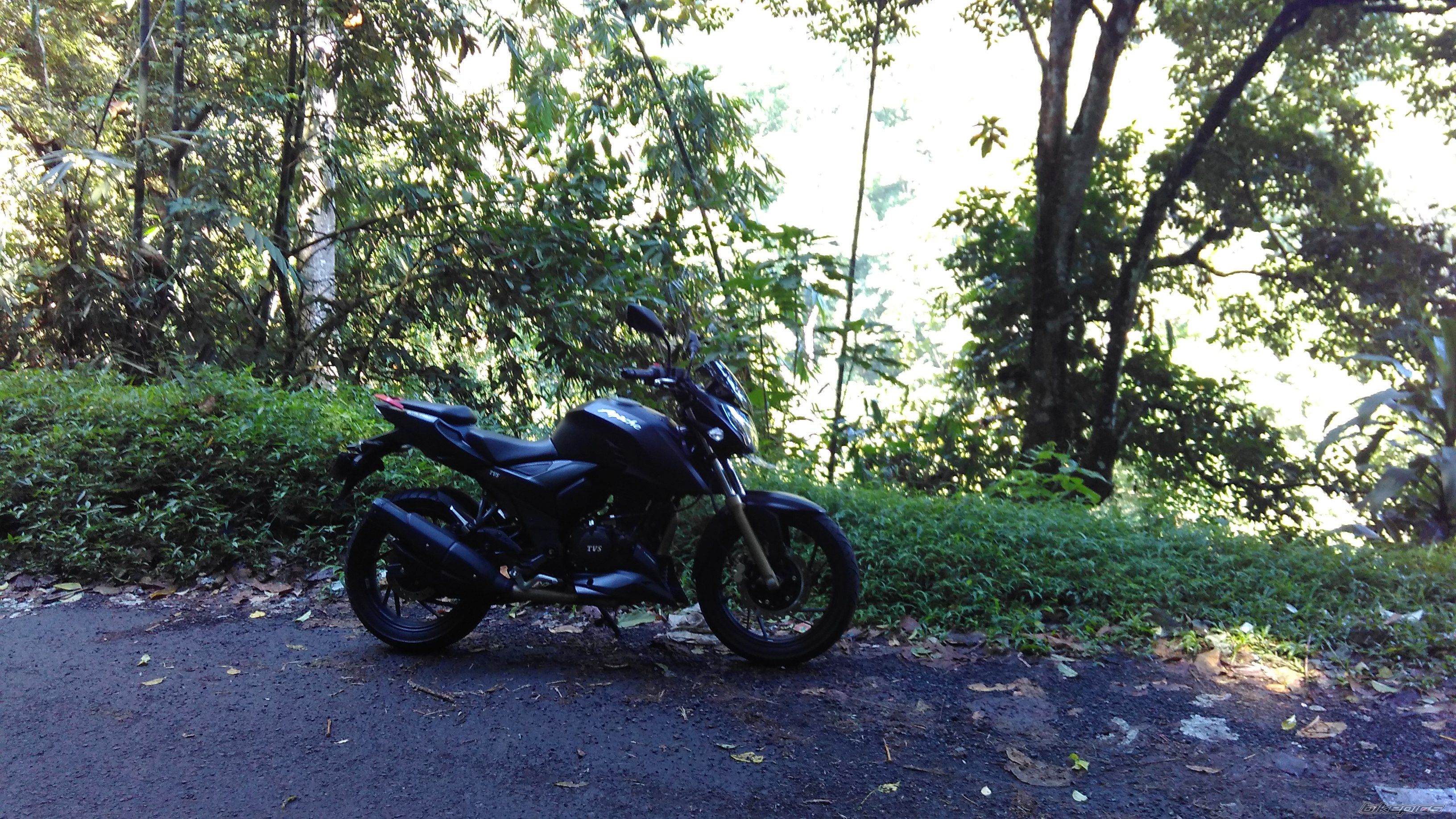 Photo 2792548