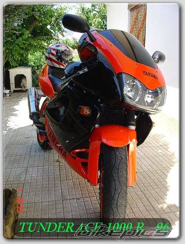 Photo 279257
