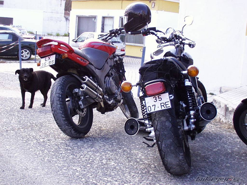 Photo 279262