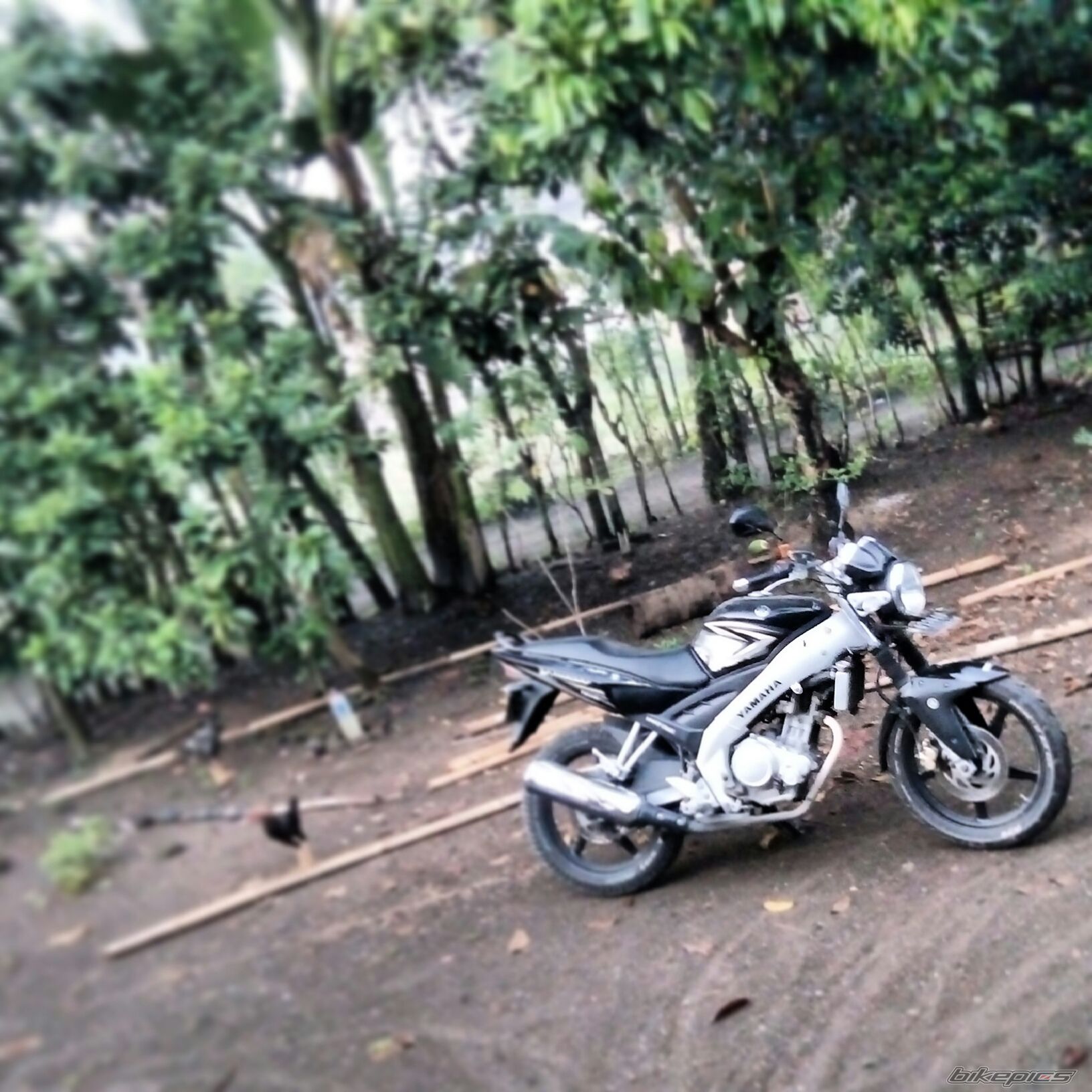 Photo 2792651