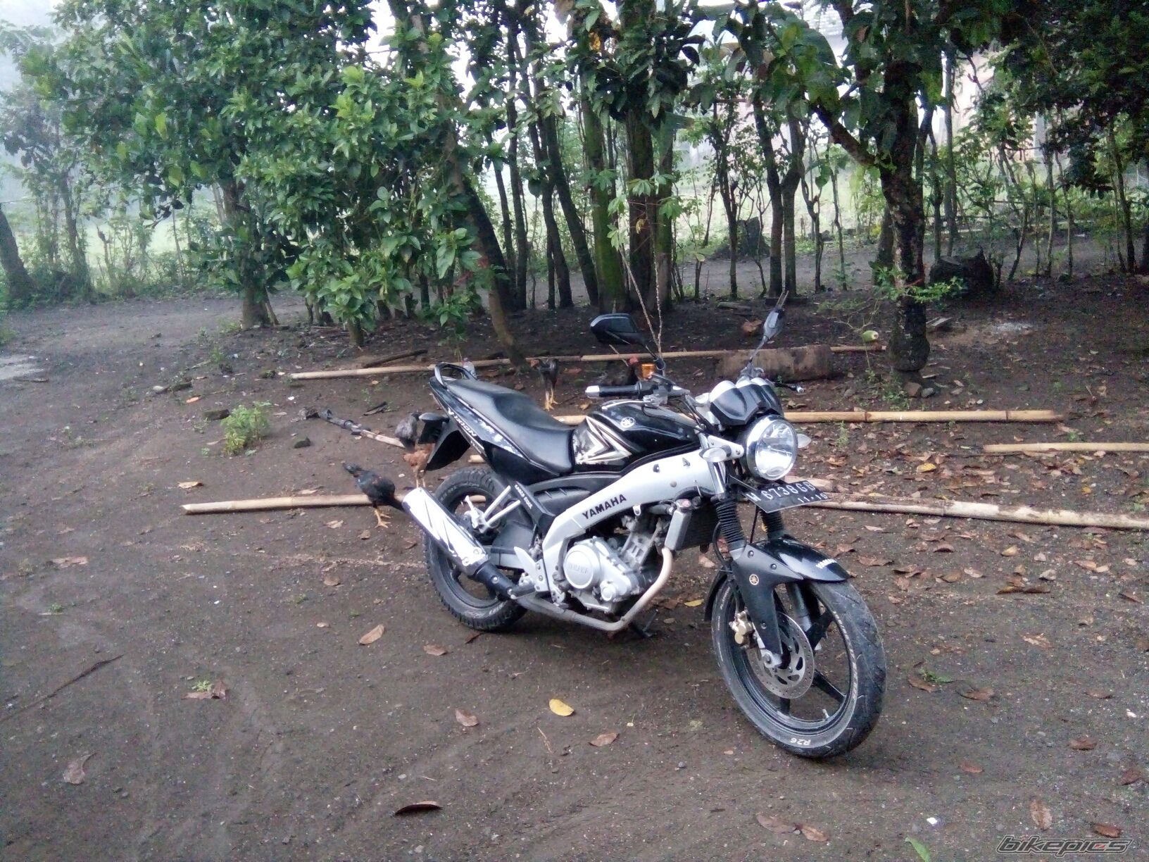 Photo 2792653