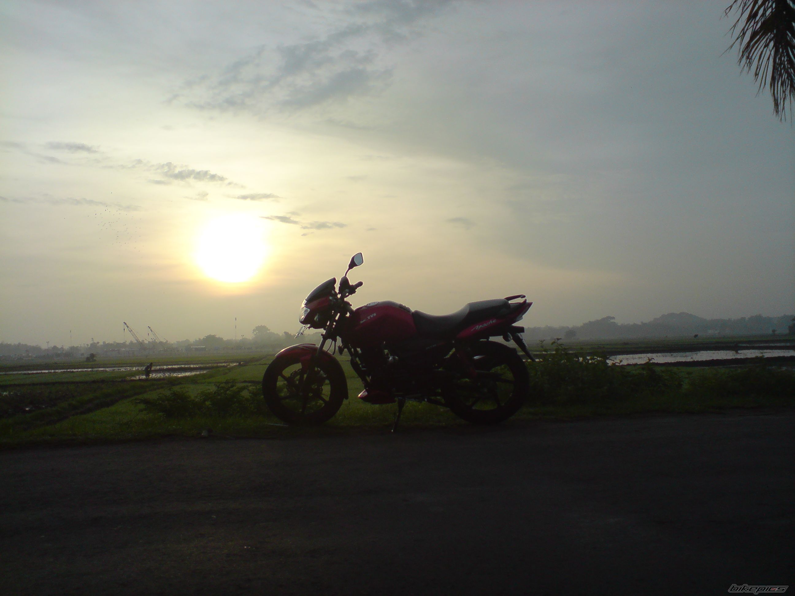 Photo 2792795