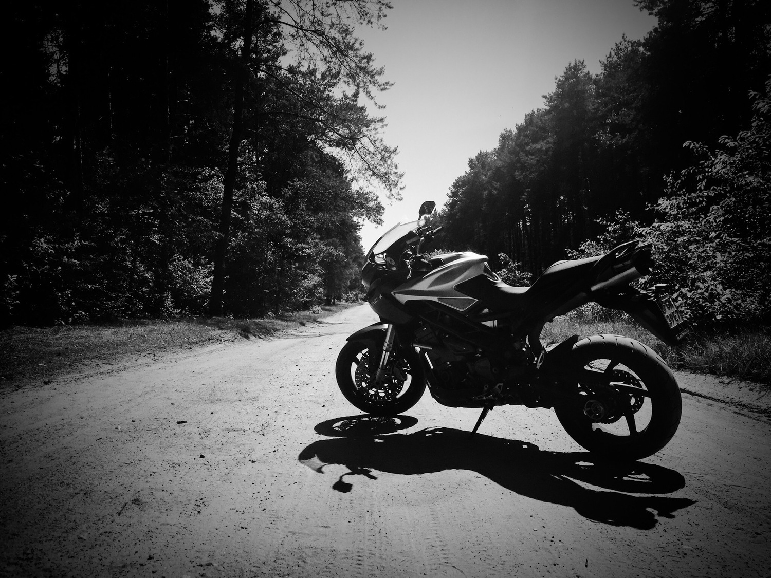 Photo 2792948