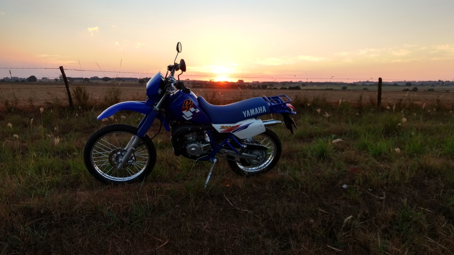 Photo 2792956