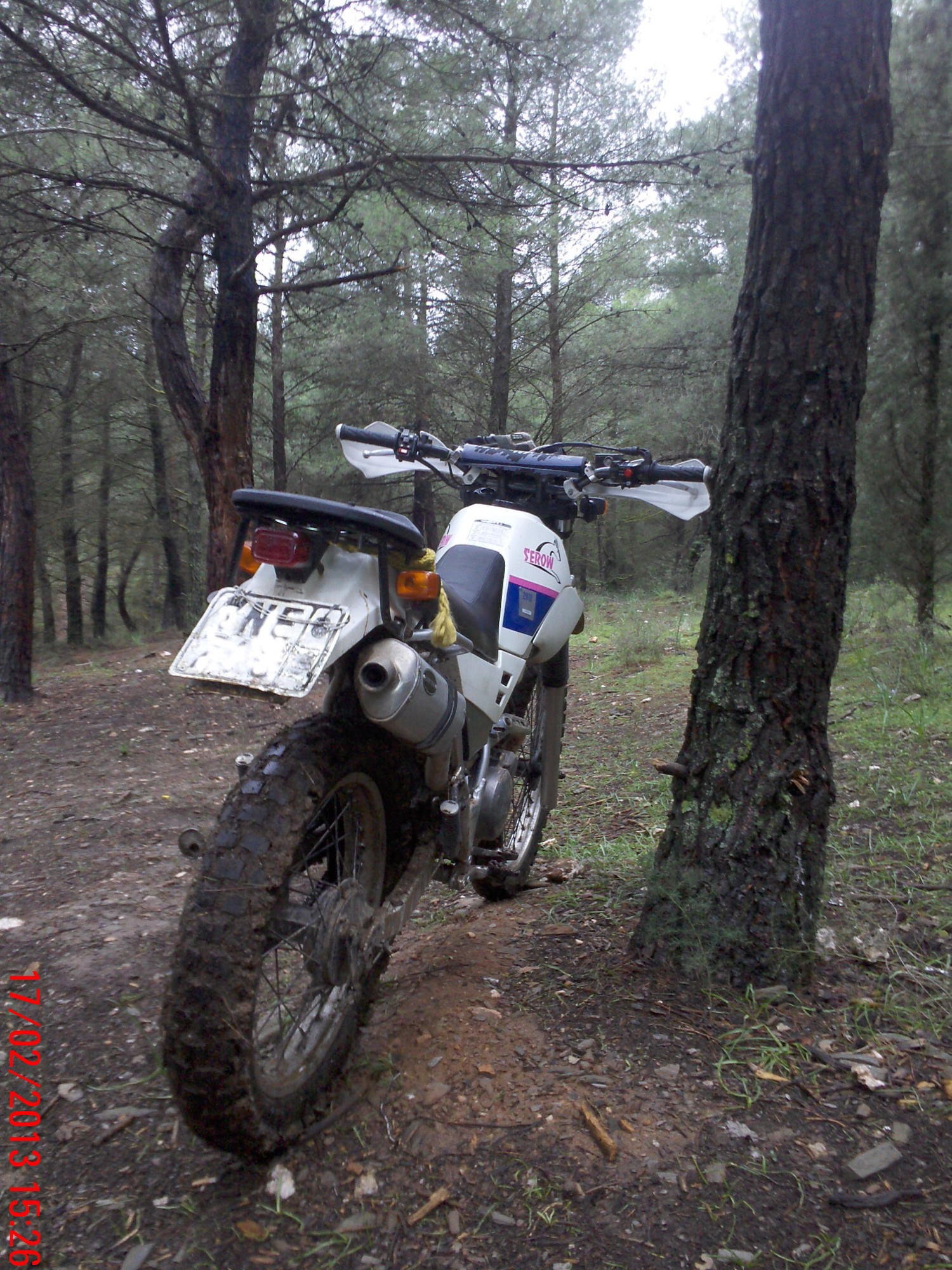 Photo 2793005