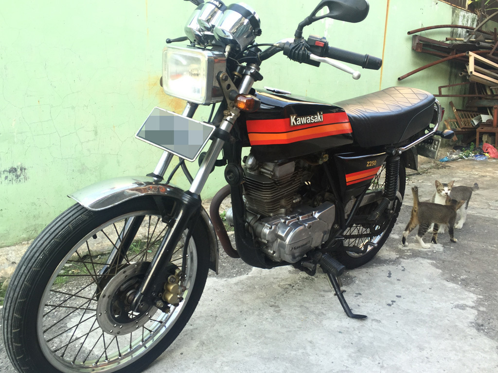 Photo 2793036