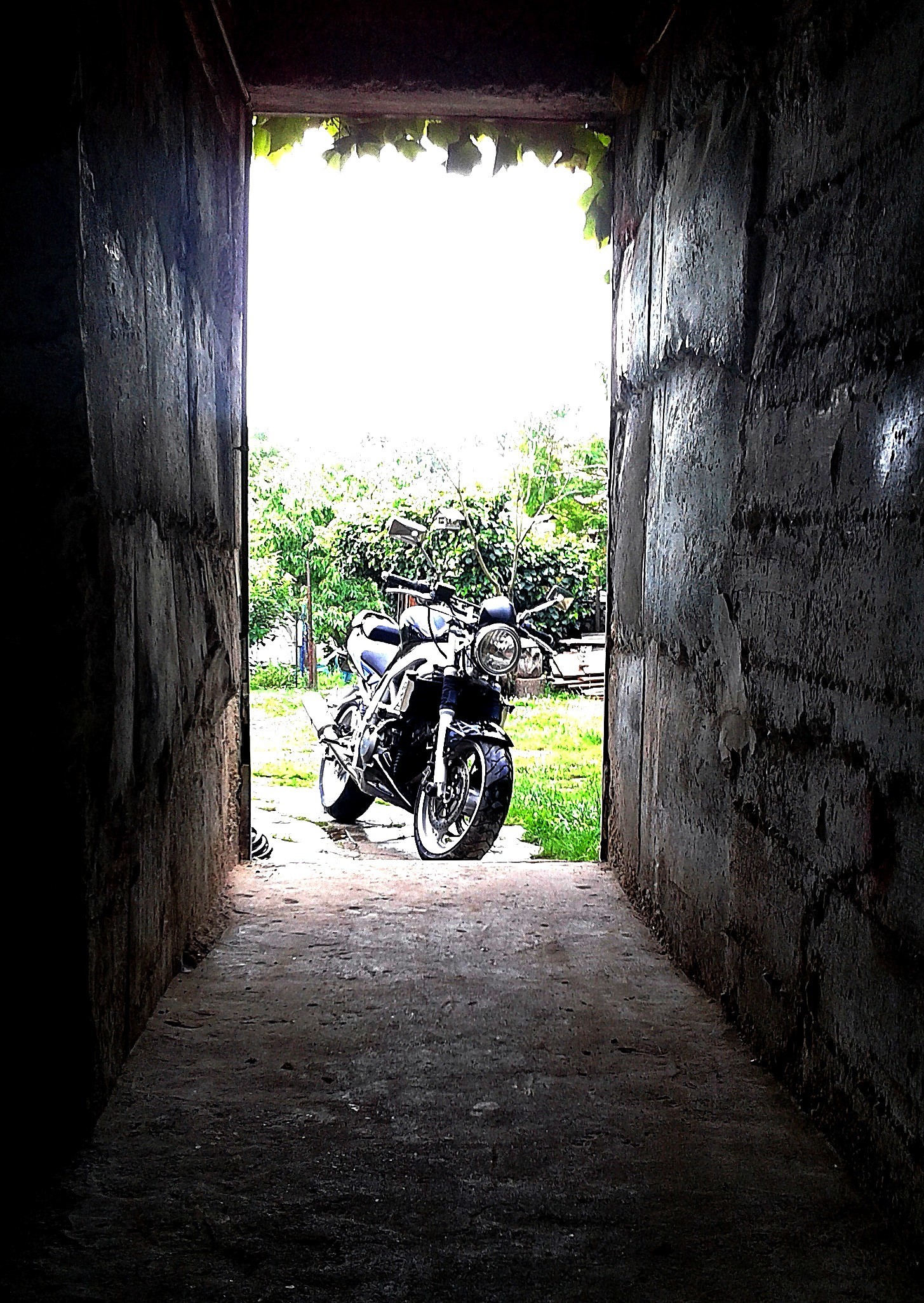 Photo 2793055