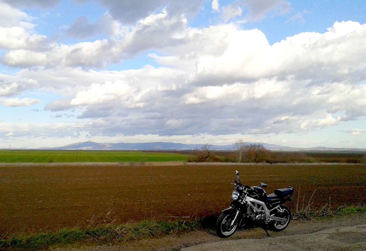 Photo 2793059