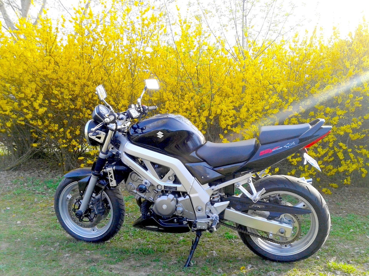 Photo 2793060