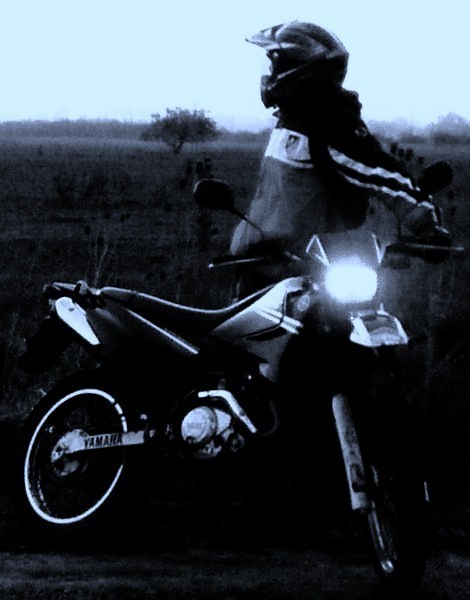 Photo 2793081