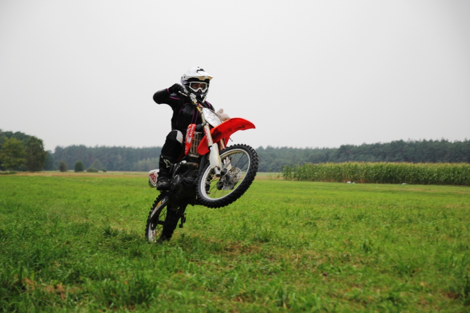 Photo 2793091