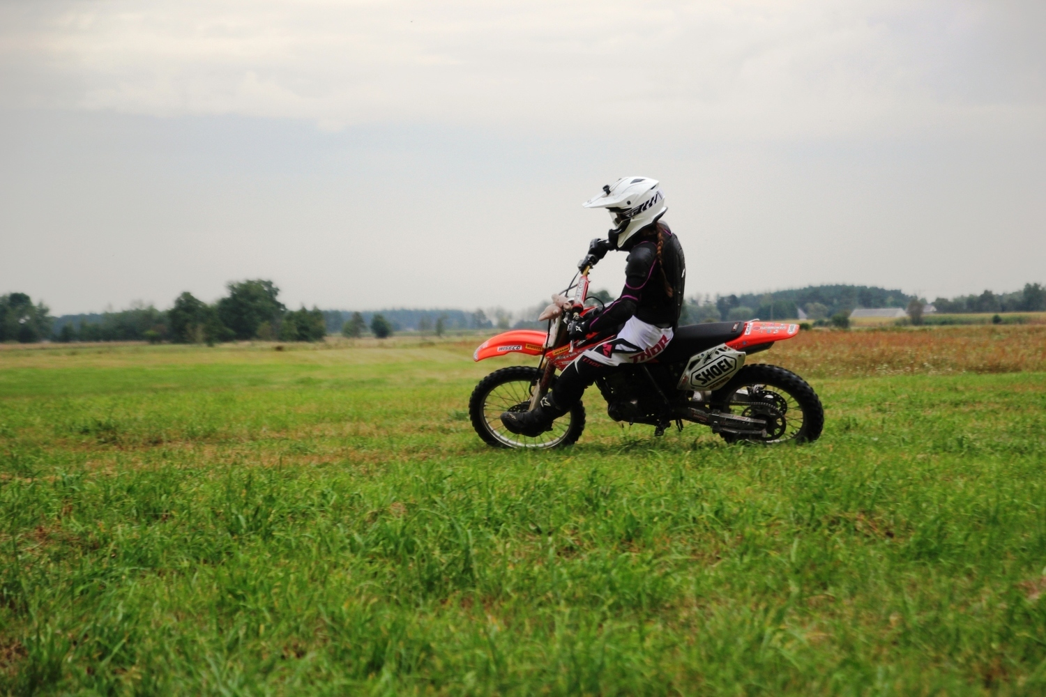 Photo 2793092