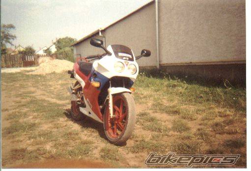 Photo 27931