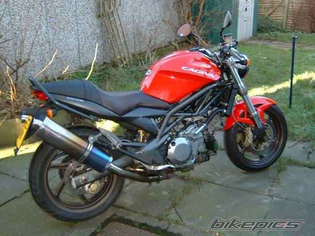 Photo 279325