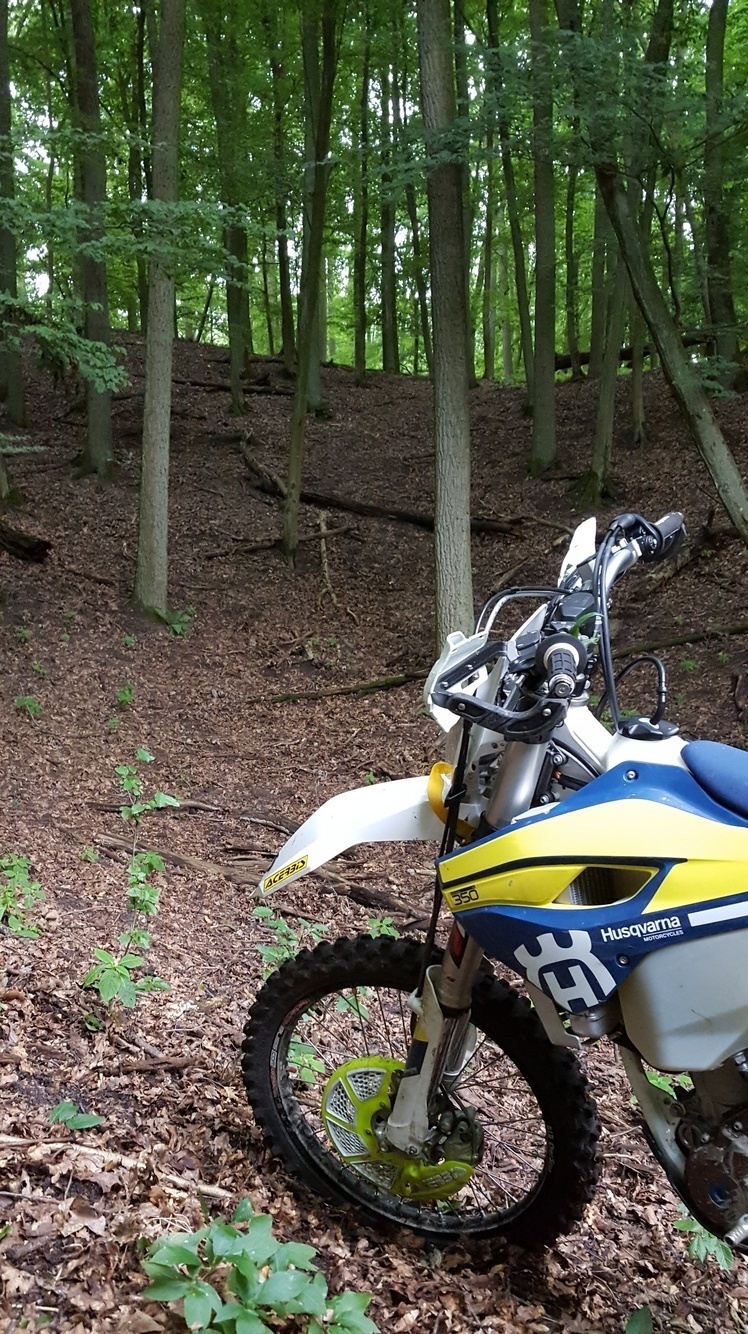 Photo 2793311