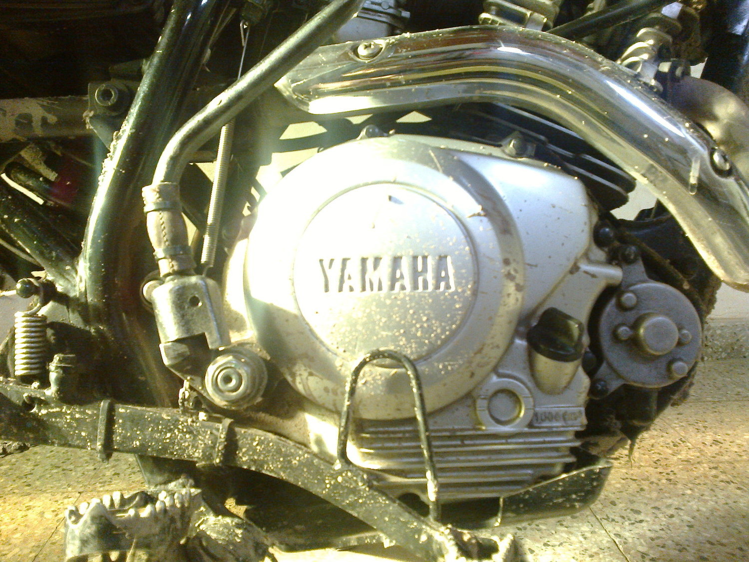 Photo 2793333