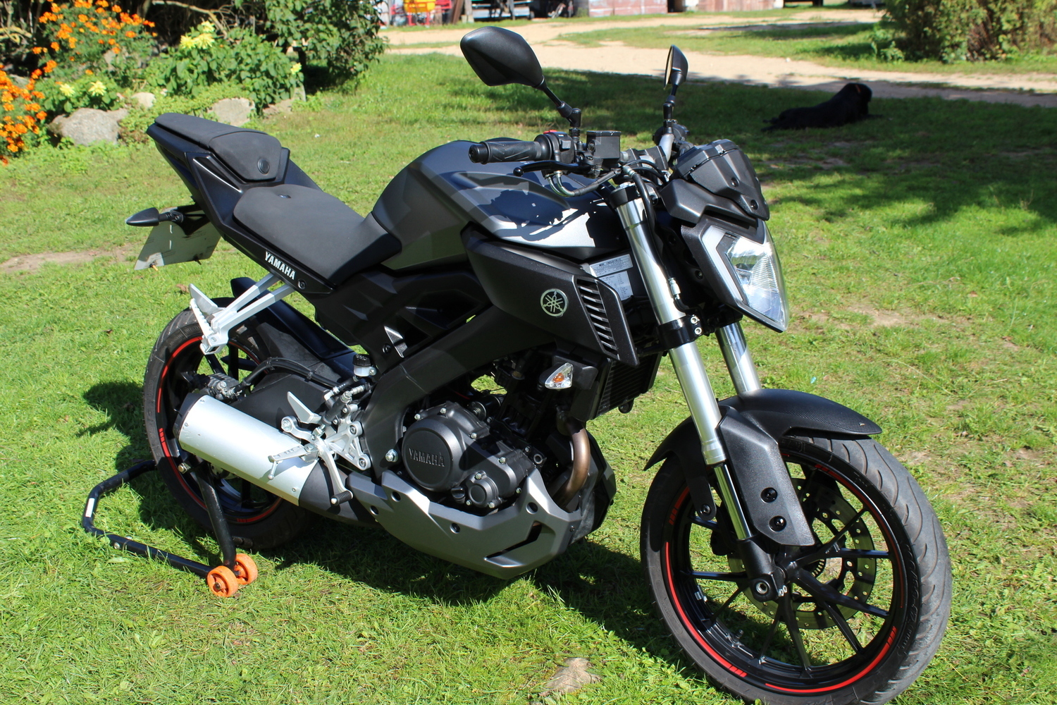 Bike Photo 2793429