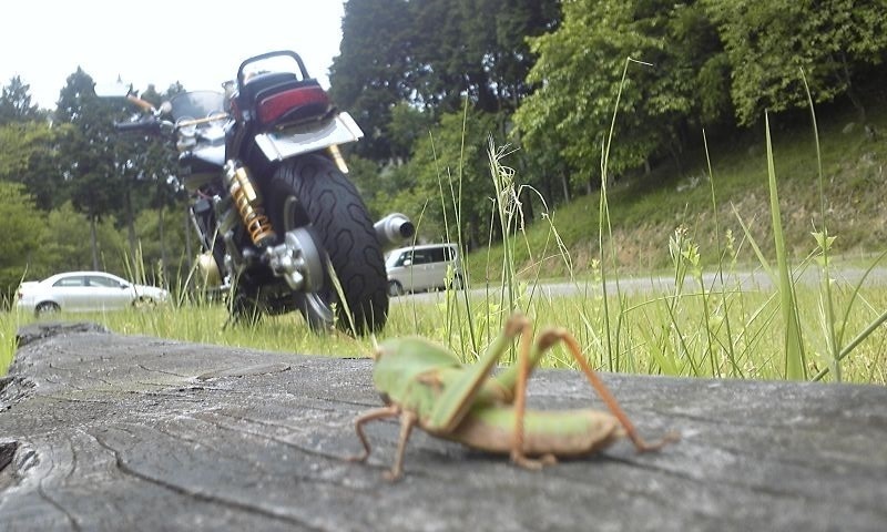 Photo 2793451