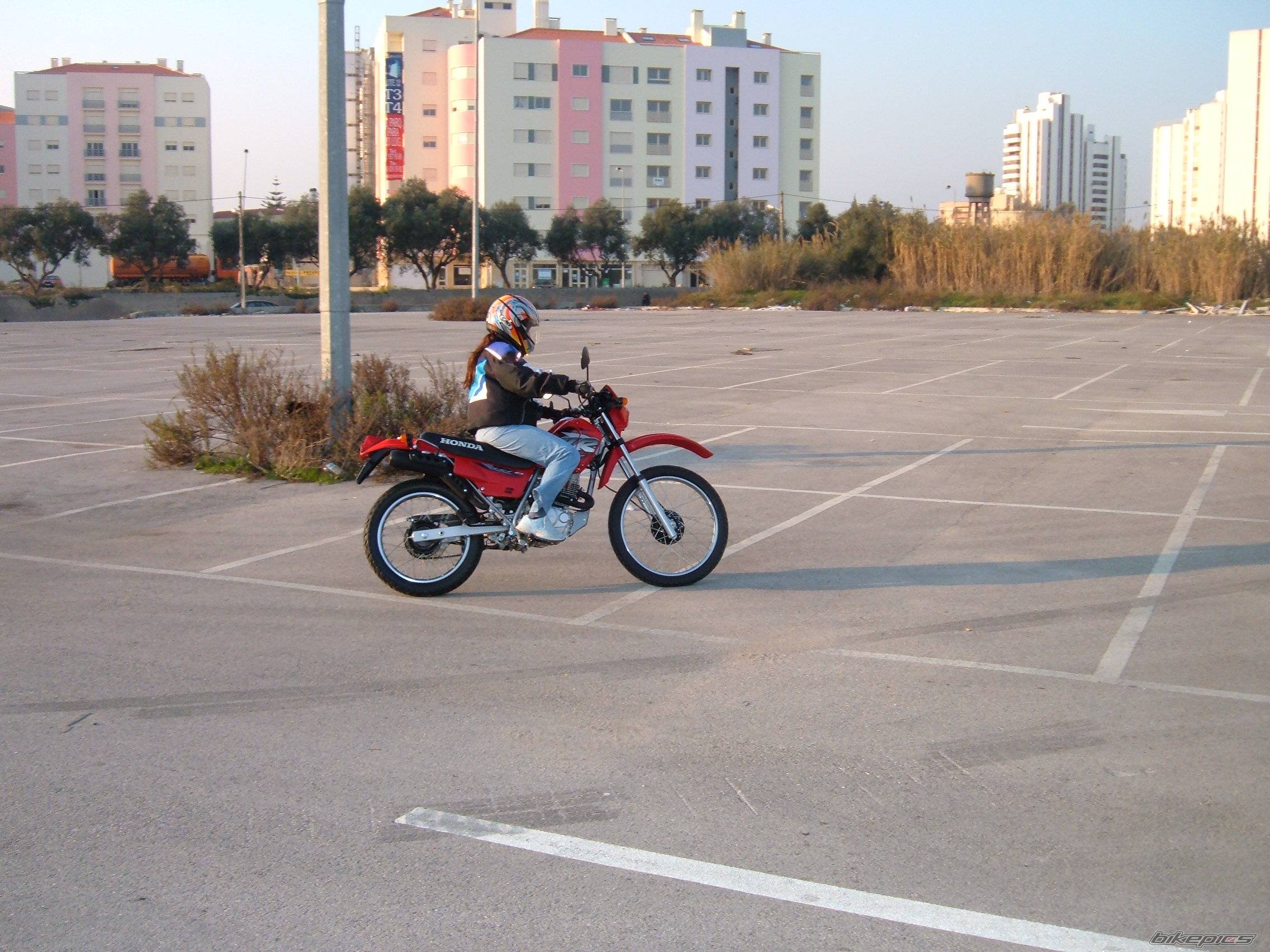 Bike Photo 279351