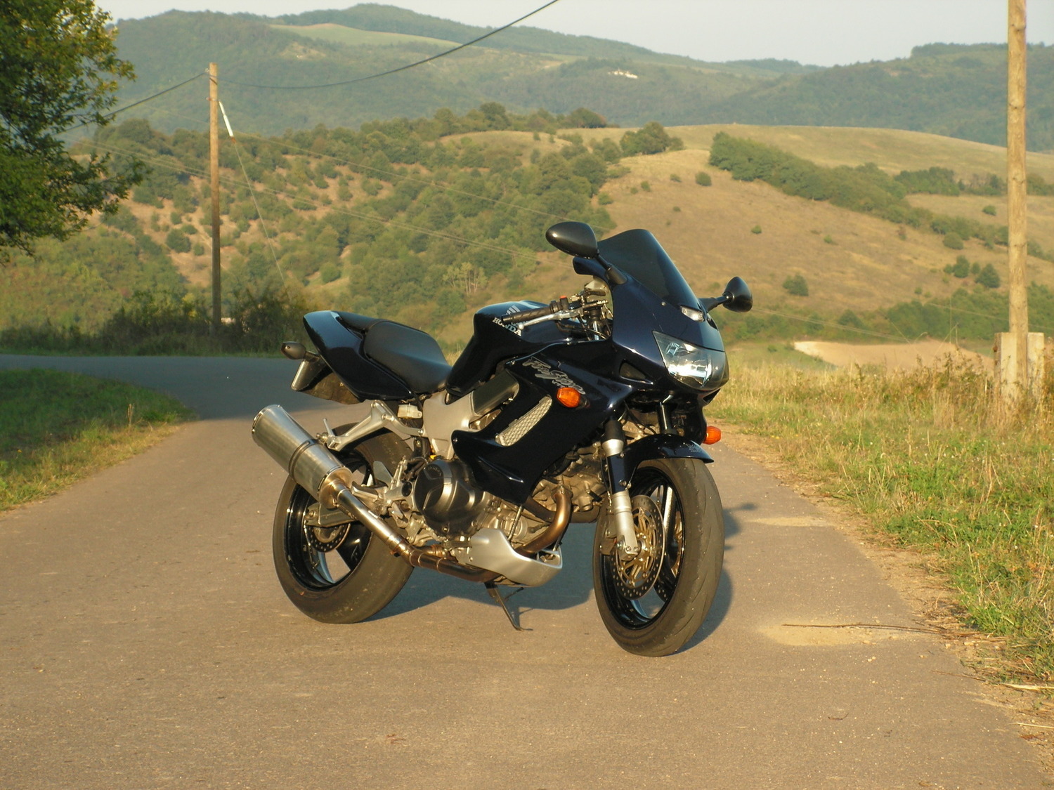 Photo 2793514