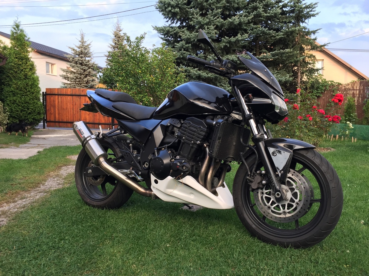 Photo 2793609
