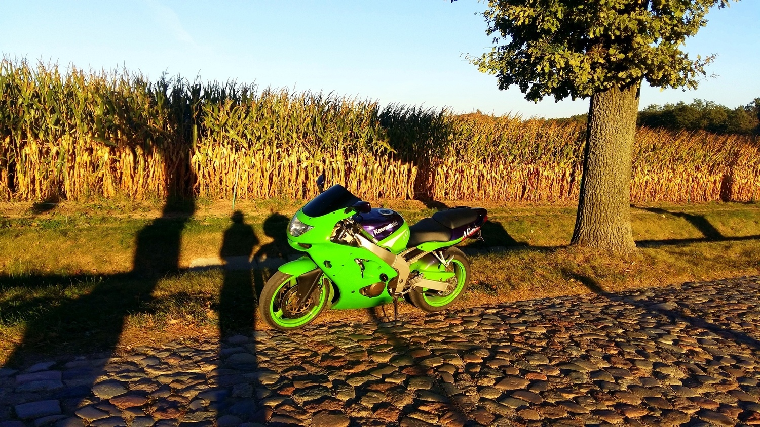 Photo 2793634