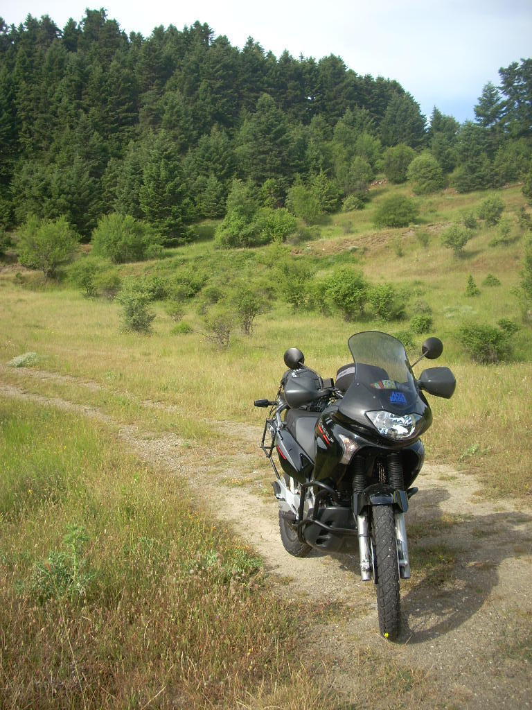 Photo 2793684