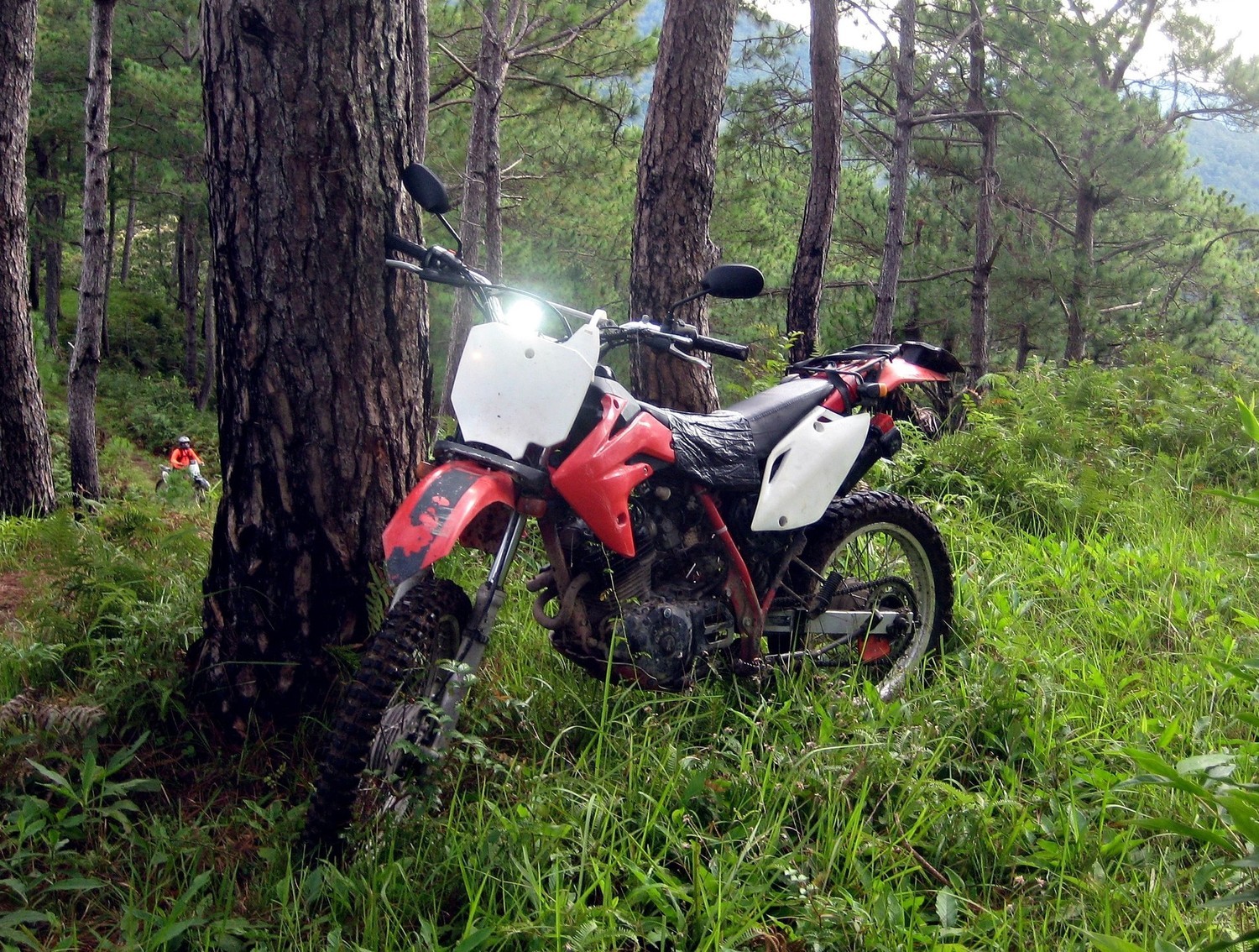 Photo 2793707