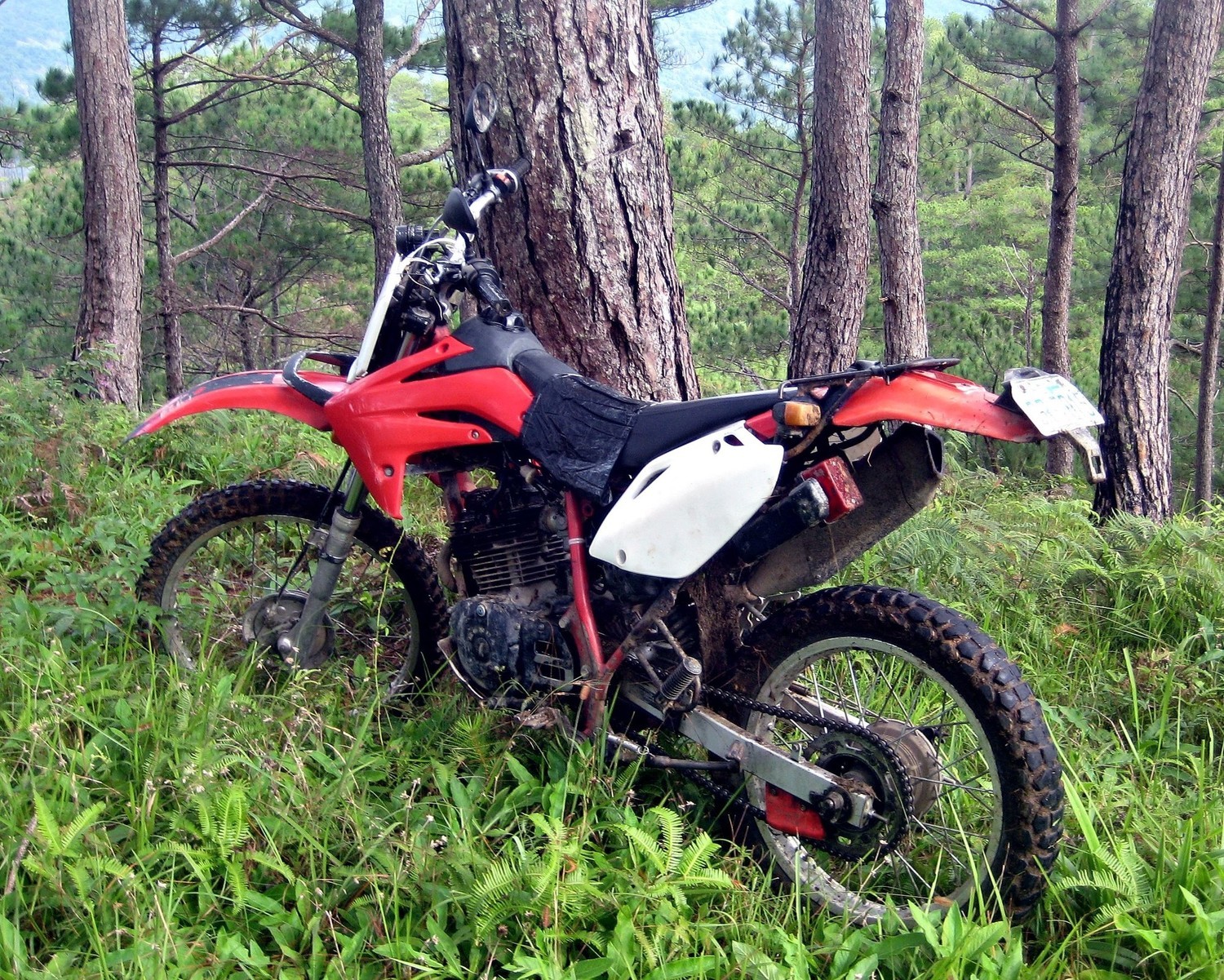 Photo 2793708