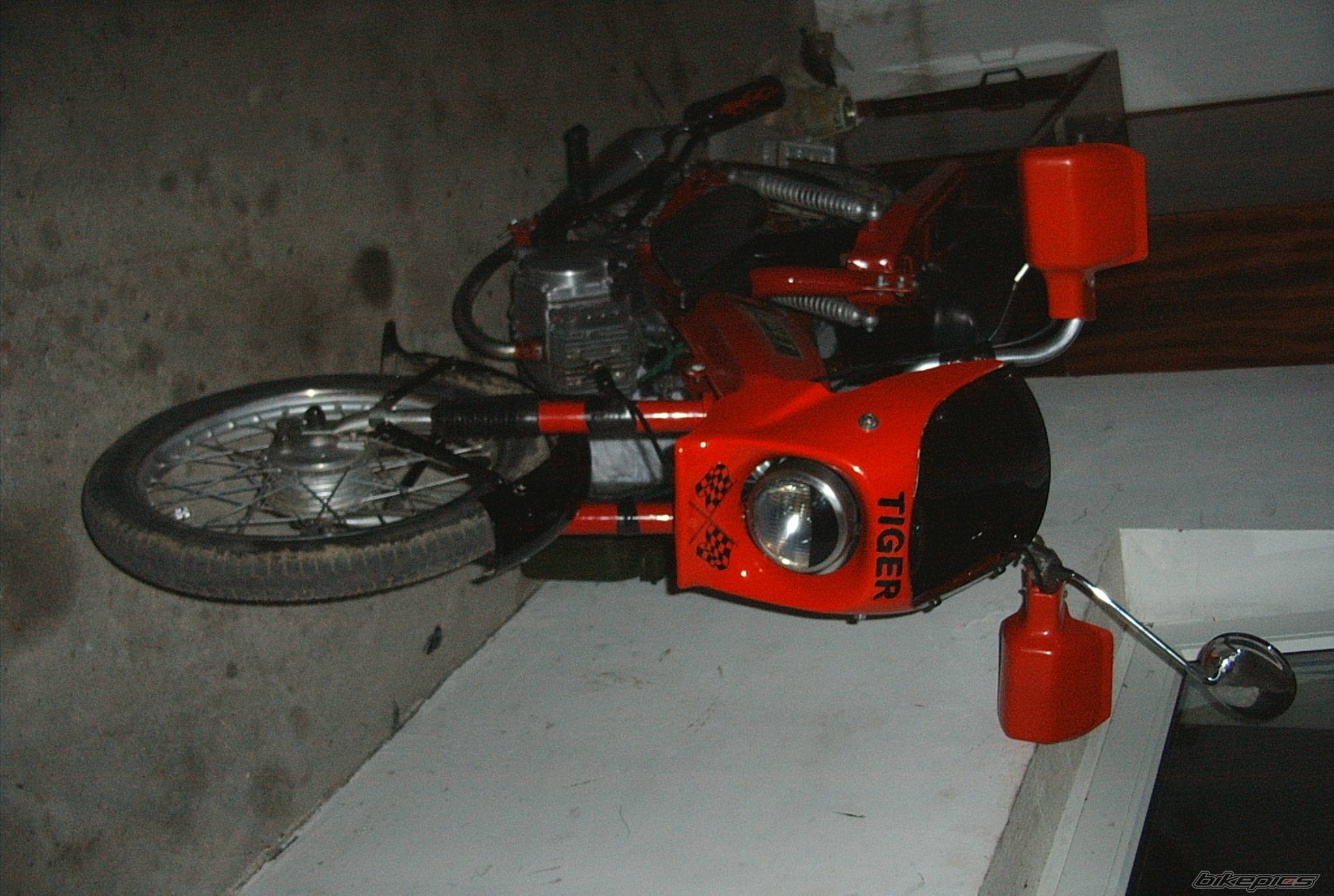 Photo 279378