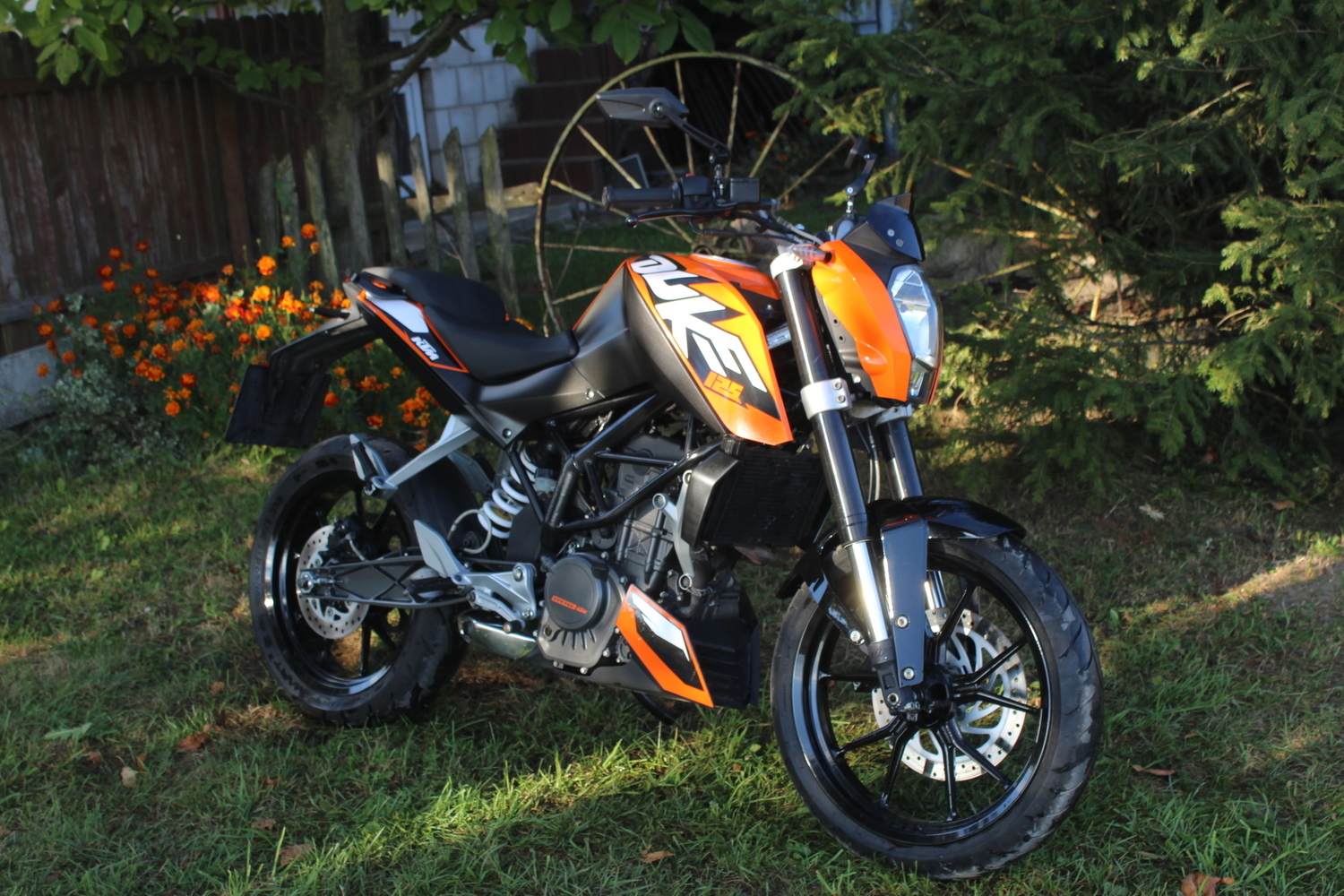 Photo 2793781