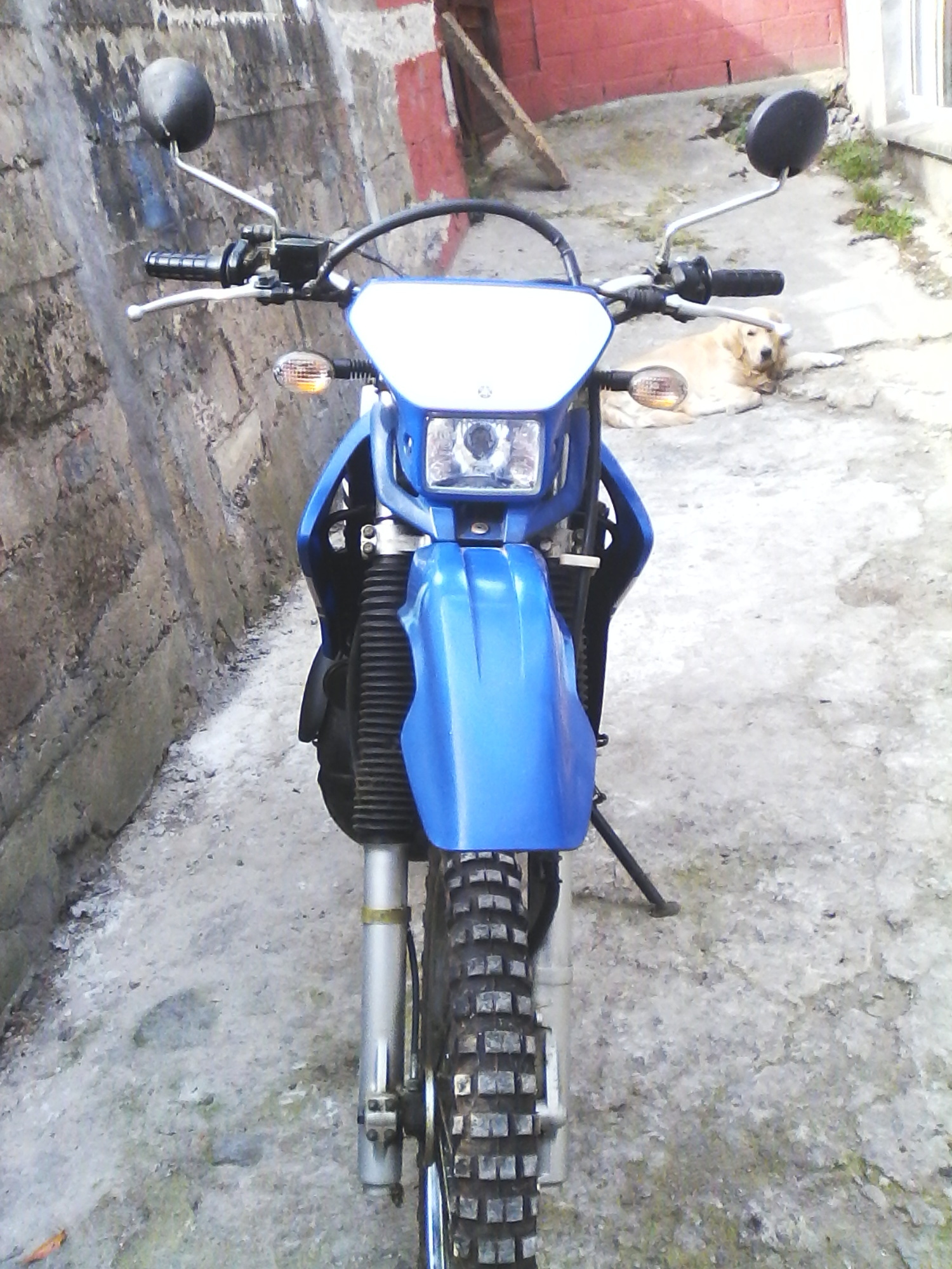 Bike Photo 2793829