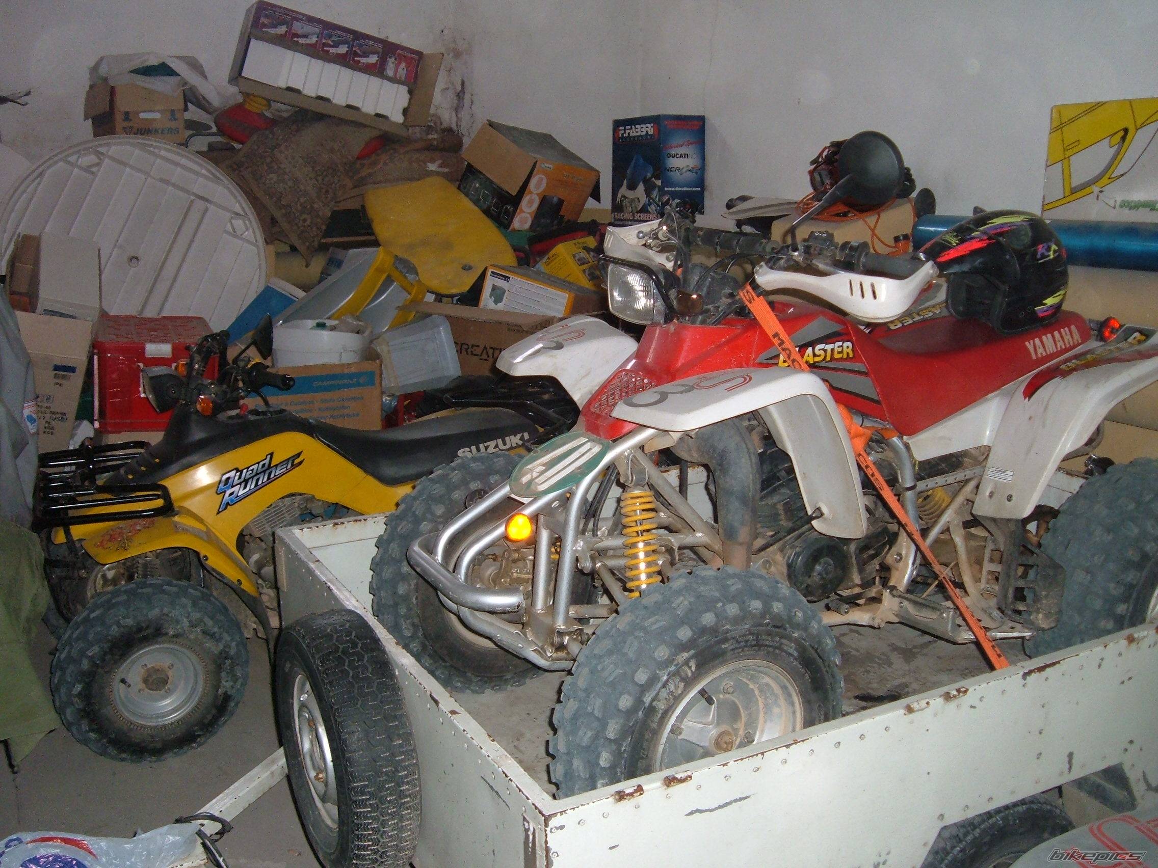 Photo 279391